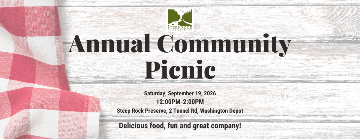 Annual Community Picnic